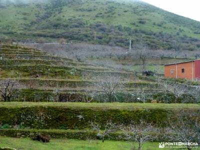 Cerezos en flor; Valle del Jerte; puente de semana santa madrid alrededores excursiones tiendas trek